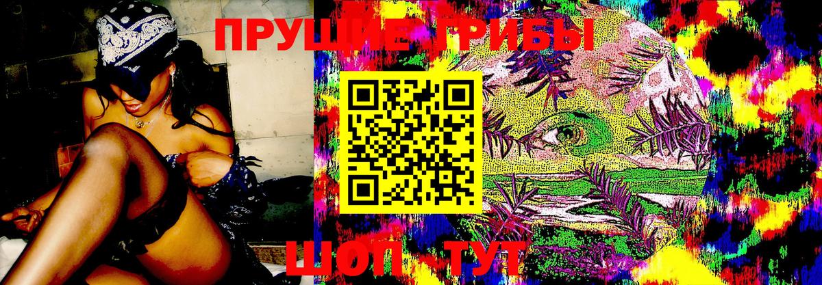 Псилоцибиновые грибы MAGIC MUSHROOMS Шумерля